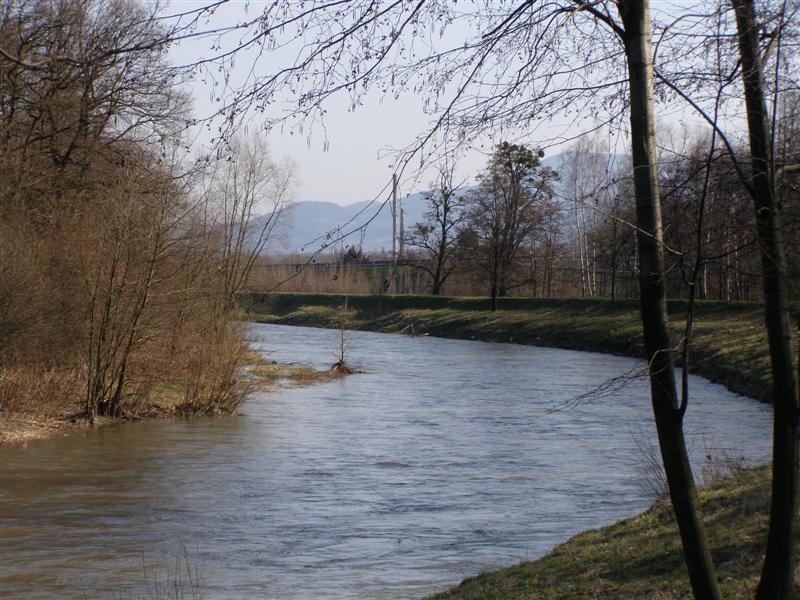 16.JPG