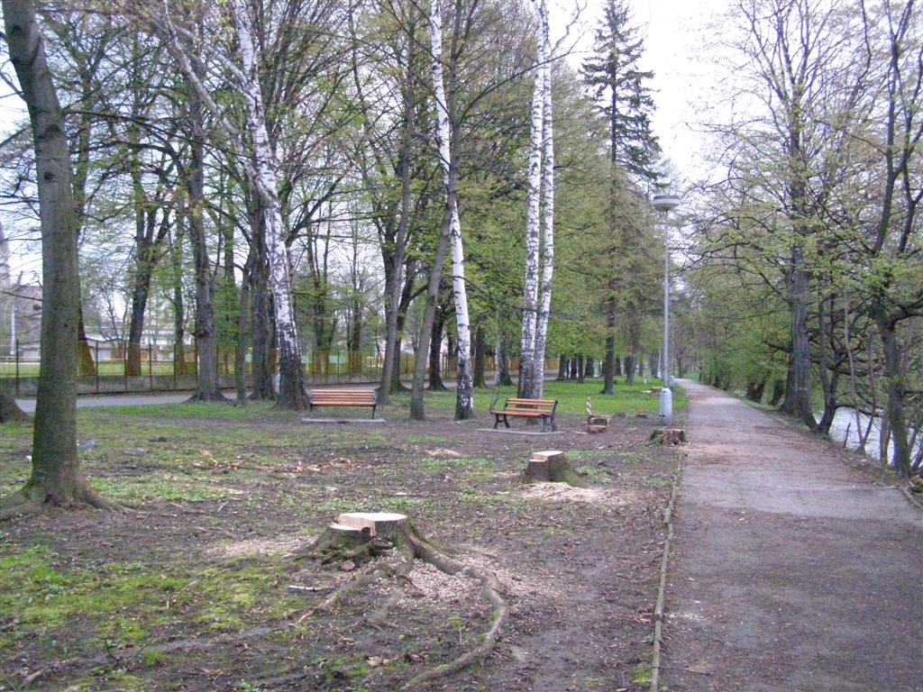 n.JPG